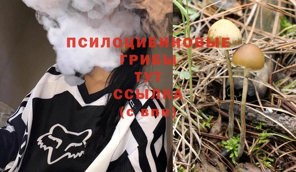 2c-b Волосово