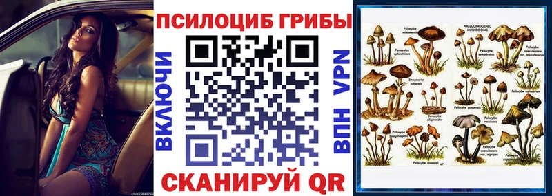 даркнет сайт  Дербент  даркнет официальный сайт  Псилоцибиновые грибы мицелий 